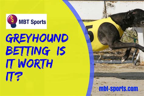 greyhound betting system